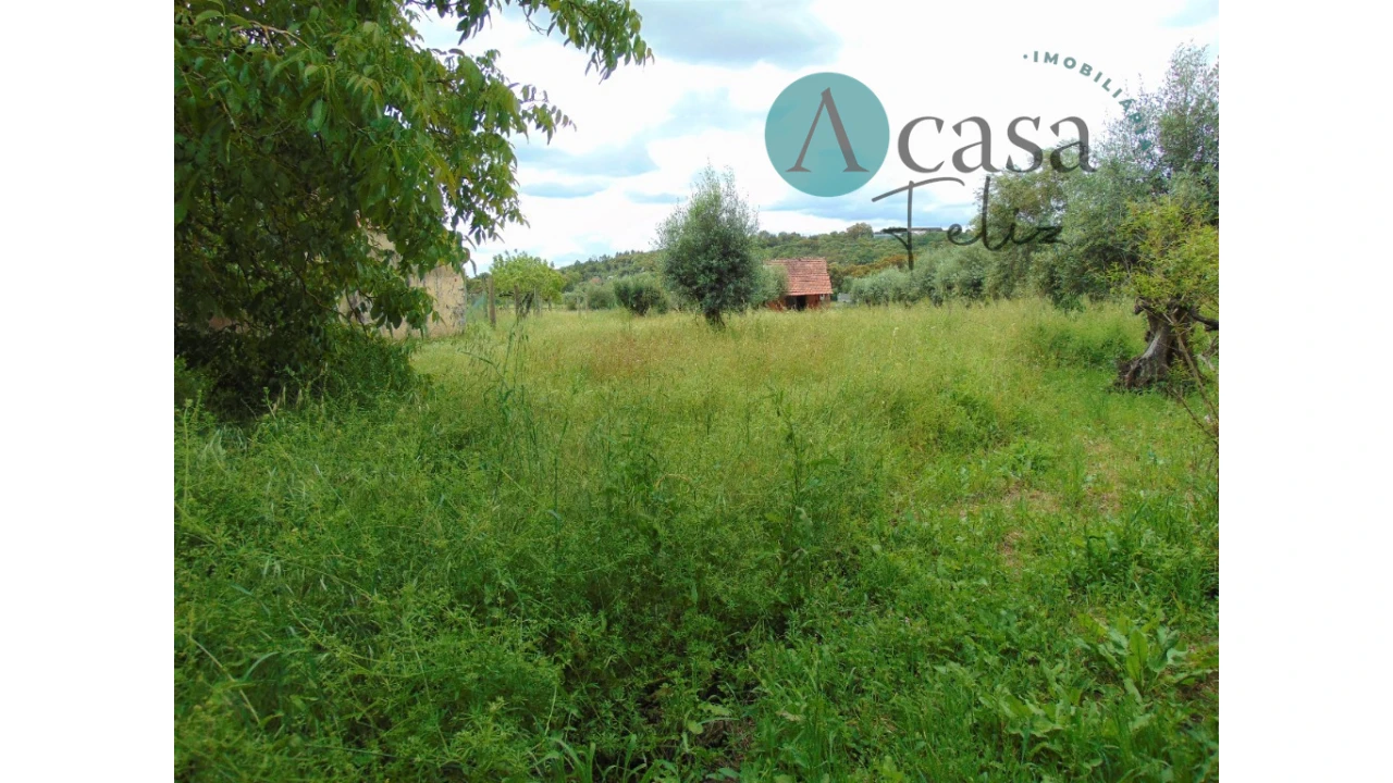 Moradia T2 para Venda em Nossa Senhora do Pranto Foto 10