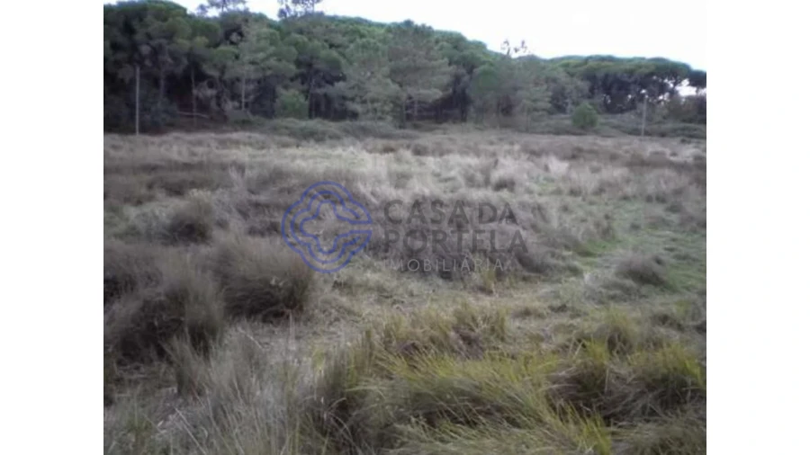 Terreno para Venda em Faro (Sé e São Pedro) Foto 2