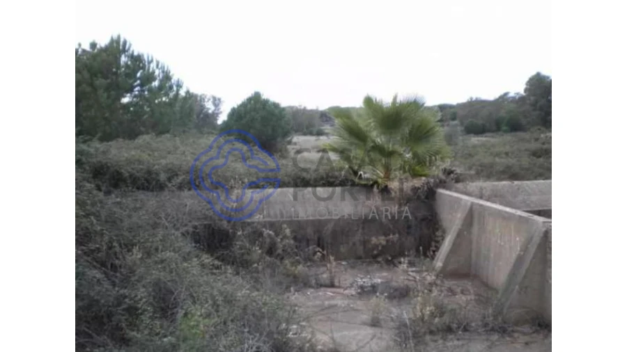 Terreno para Venda em Faro (Sé e São Pedro) Foto 3