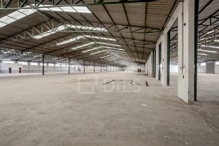Armazém para Venda em Torres Novas (Santa Maria, Salvador e Santiago) Foto 6