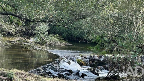 Quinta T4 para Venda em Santa Cruz da Trapa e São Cristóvão de Lafões