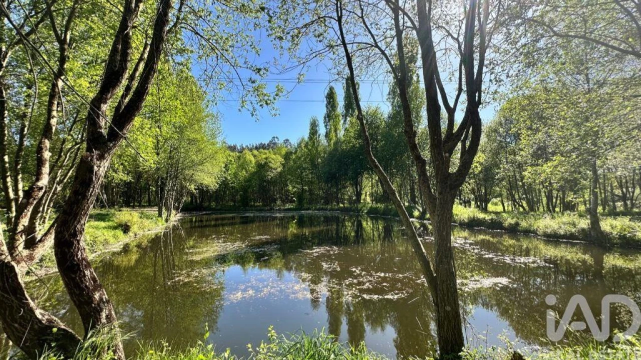 Quinta T4 para Venda em Santa Cruz da Trapa e São Cristóvão de Lafões Foto 13