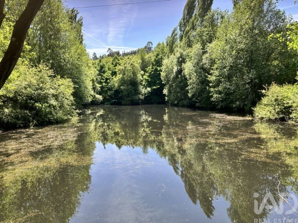 Quinta T4 para Venda em Santa Cruz da Trapa e São Cristóvão de Lafões Foto 21