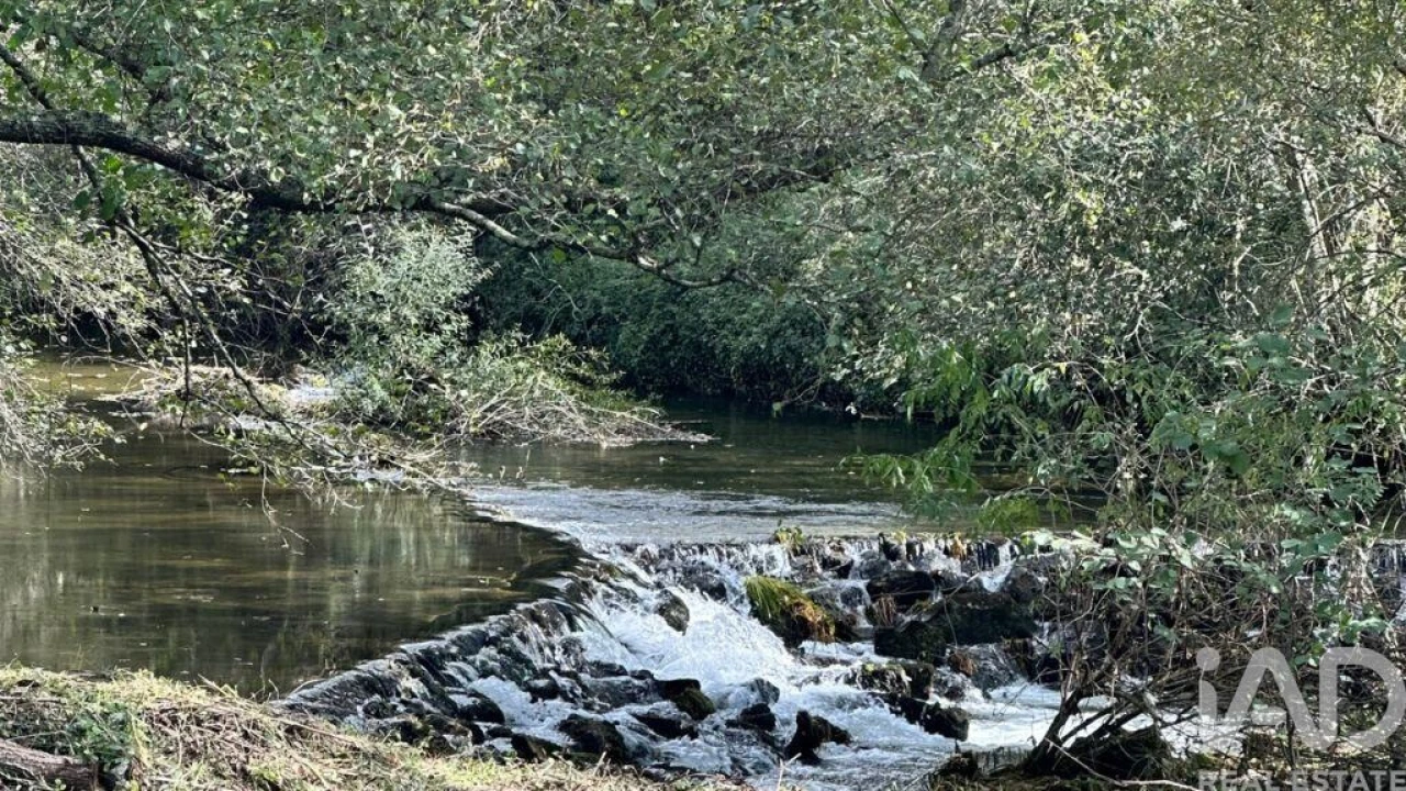 Quinta T4 para Venda em Santa Cruz da Trapa e São Cristóvão de Lafões Foto 22
