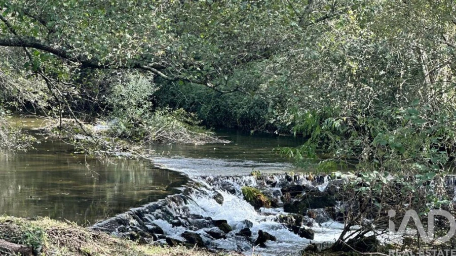 Quinta T4 para Venda em Santa Cruz da Trapa e São Cristóvão de Lafões Foto 22
