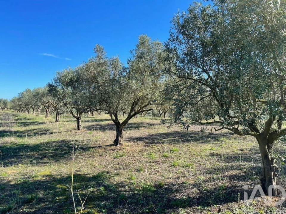 Moradia para Venda em São Vicente do Paul e Vale de Figueira Foto 21