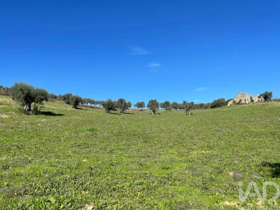 Moradia para Venda em São Vicente do Paul e Vale de Figueira Foto 6