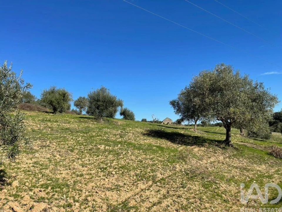 Moradia para Venda em São Vicente do Paul e Vale de Figueira Foto 20