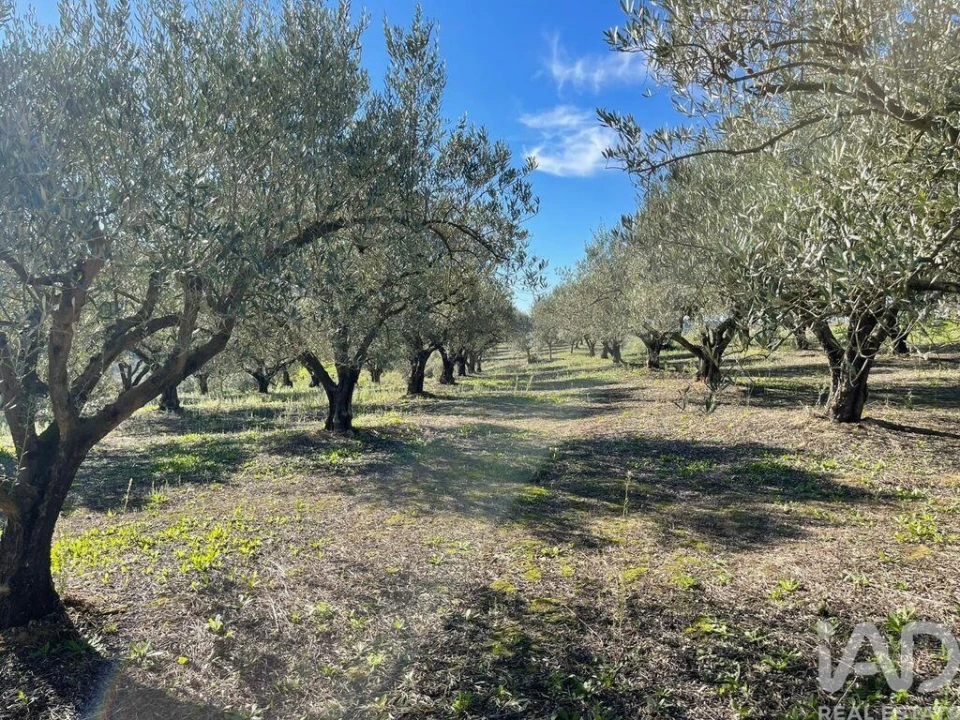 Moradia para Venda em São Vicente do Paul e Vale de Figueira Foto 26