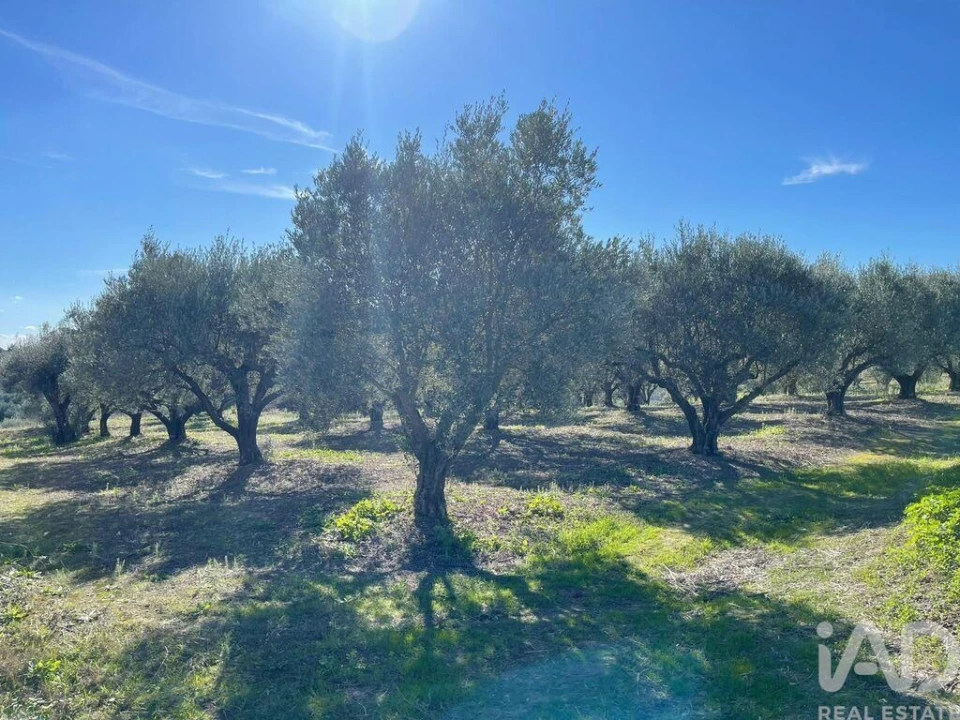 Moradia para Venda em São Vicente do Paul e Vale de Figueira Foto 13