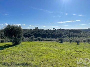 Moradia para Venda em São Vicente do Paul e Vale de Figueira