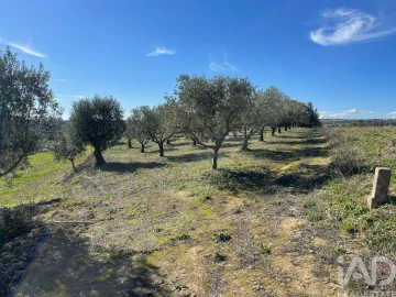 Moradia para Venda em São Vicente do Paul e Vale de Figueira