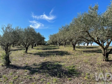 Moradia para Venda em São Vicente do Paul e Vale de Figueira