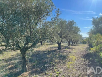 Moradia para Venda em São Vicente do Paul e Vale de Figueira