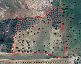 Moradia para Venda em São Vicente do Paul e Vale de Figueira