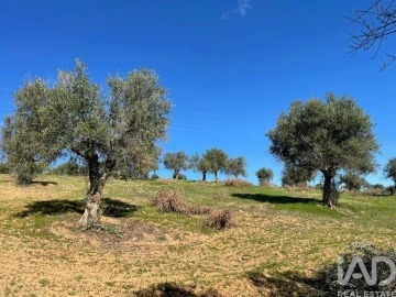 Moradia para Venda em São Vicente do Paul e Vale de Figueira