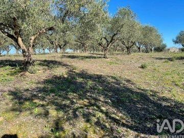 Moradia para Venda em São Vicente do Paul e Vale de Figueira