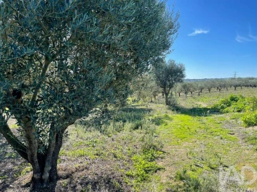 Moradia para Venda em São Vicente do Paul e Vale de Figueira