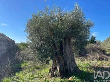 Moradia para Venda em São Vicente do Paul e Vale de Figueira