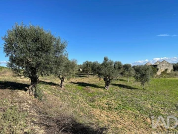 Moradia para Venda em São Vicente do Paul e Vale de Figueira