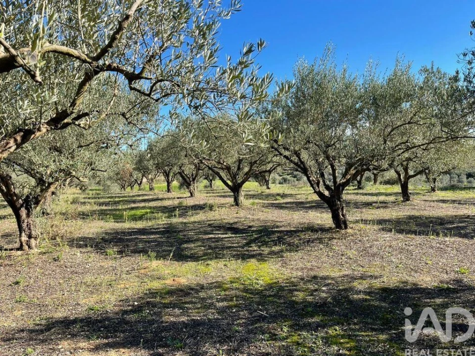 Moradia para Venda em São Vicente do Paul e Vale de Figueira Foto 35