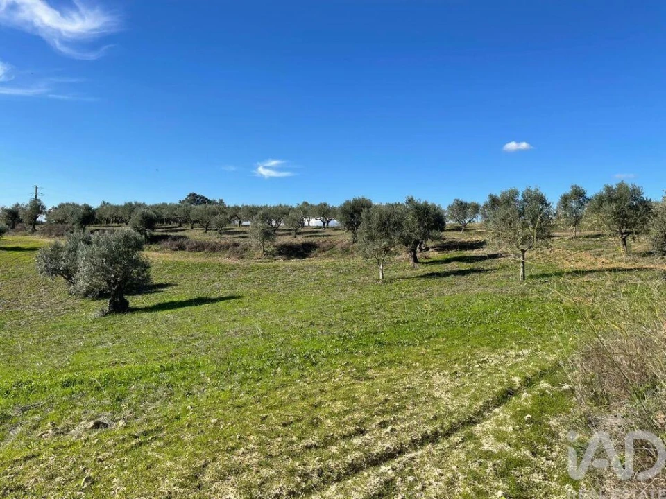 Moradia para Venda em São Vicente do Paul e Vale de Figueira Foto 25