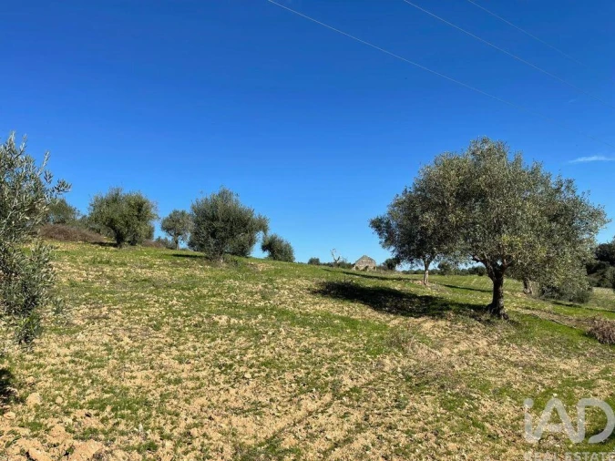 Moradia para Venda em São Vicente do Paul e Vale de Figueira Foto 20