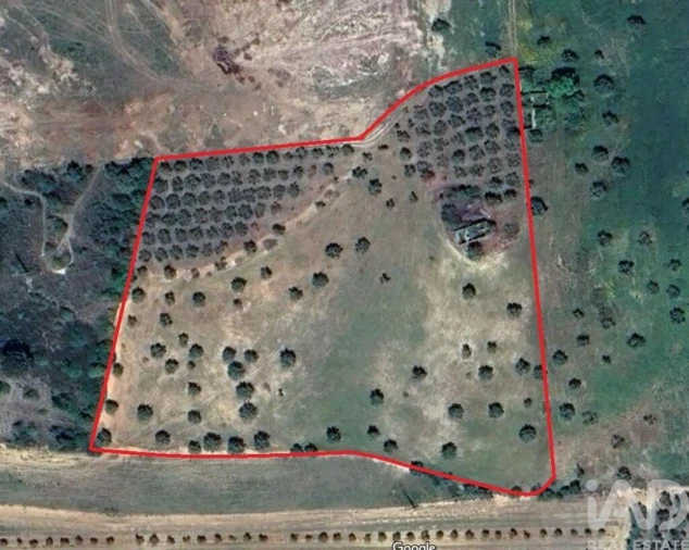 Moradia para Venda em São Vicente do Paul e Vale de Figueira Foto 8