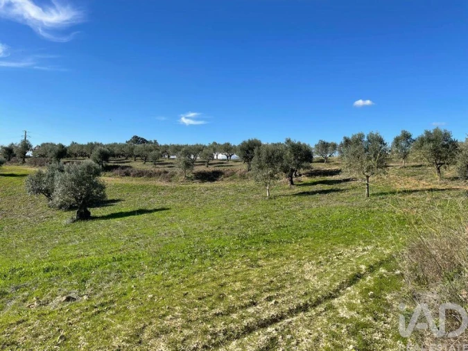 Moradia para Venda em São Vicente do Paul e Vale de Figueira Foto 25