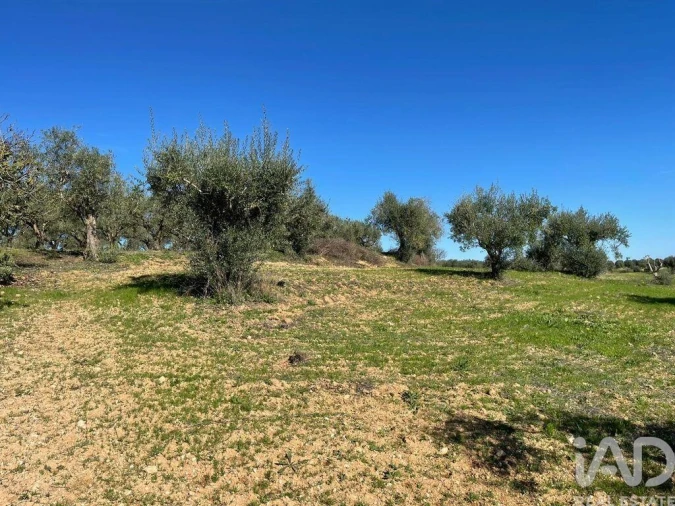 Moradia para Venda em São Vicente do Paul e Vale de Figueira Foto 19