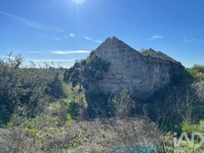 Moradia para Venda em São Vicente do Paul e Vale de Figueira Foto 3