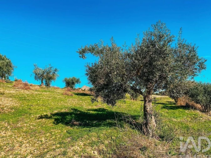 Moradia para Venda em São Vicente do Paul e Vale de Figueira Foto 12