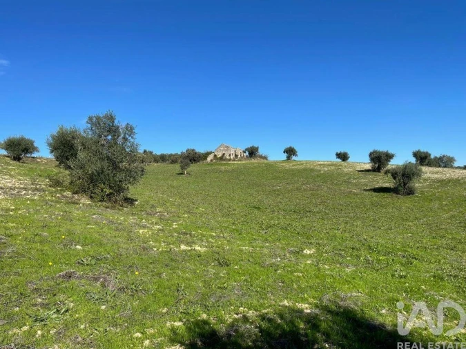 Moradia para Venda em São Vicente do Paul e Vale de Figueira Foto 7