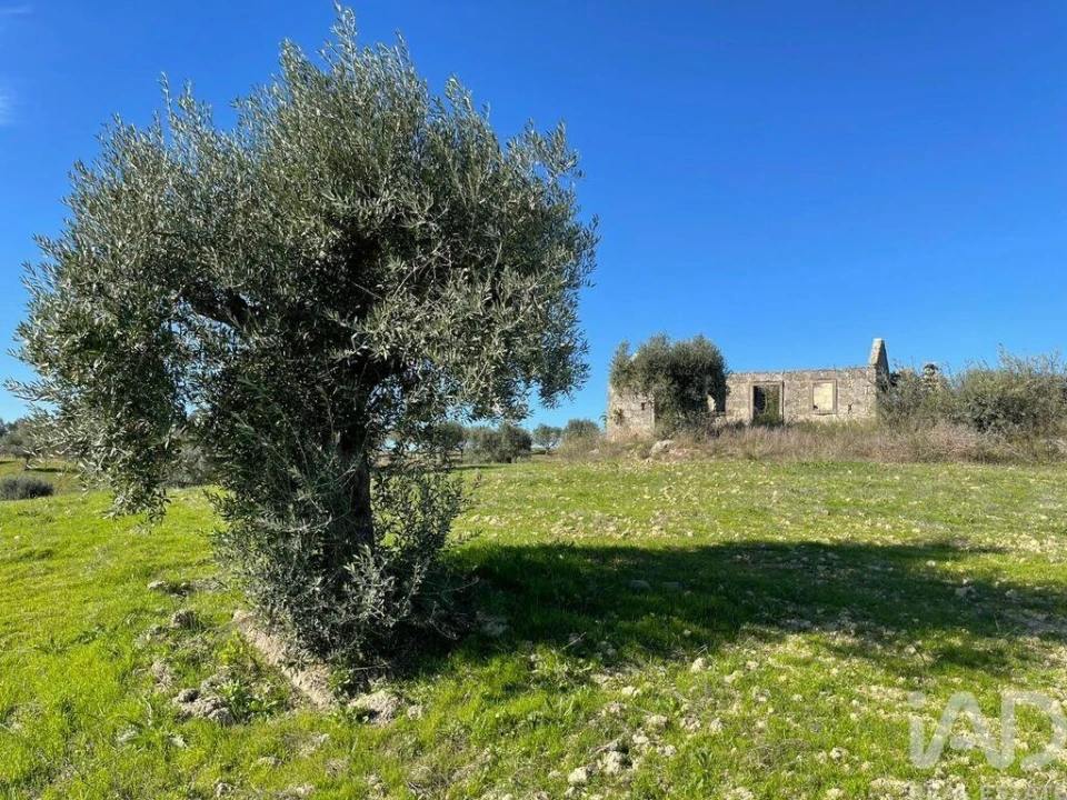 Moradia para Venda em São Vicente do Paul e Vale de Figueira Foto 5