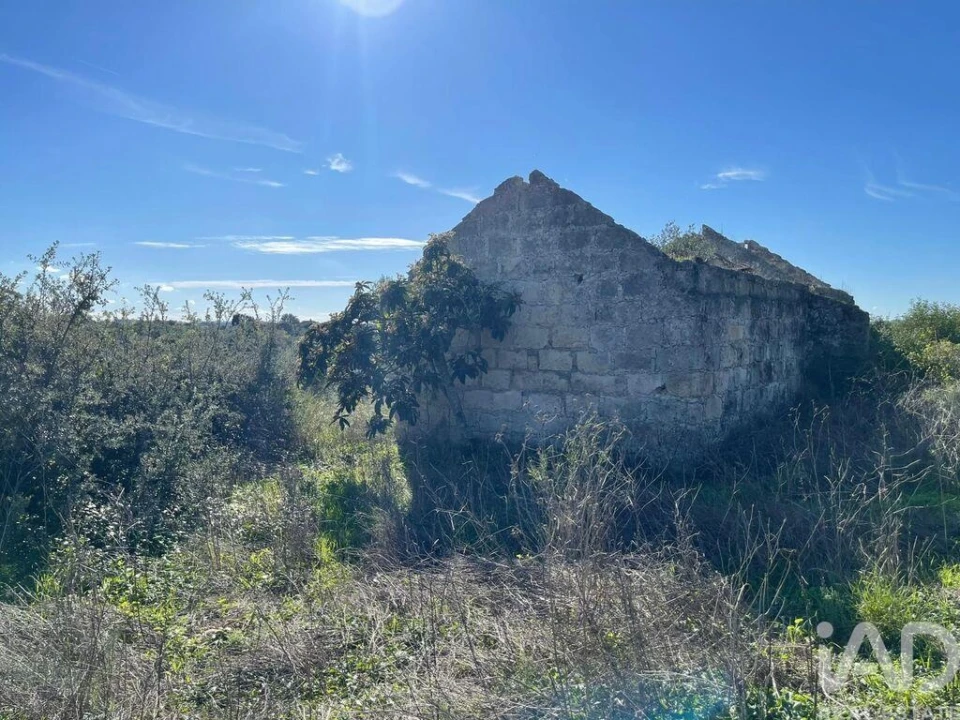 Moradia para Venda em São Vicente do Paul e Vale de Figueira Foto 3