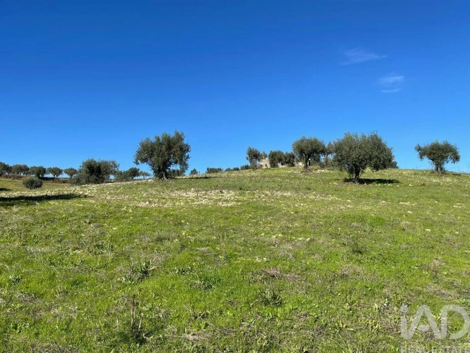 Moradia para Venda em São Vicente do Paul e Vale de Figueira Foto 32