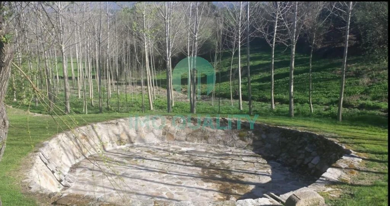 Quinta T6 para Venda em Redondelo Foto 47
