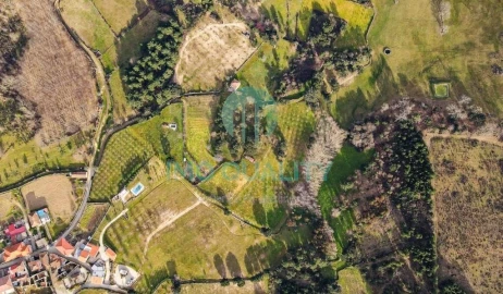 Quinta T6 para Venda em Redondelo