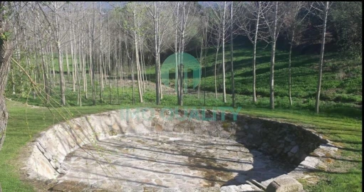 Quinta T6 para Venda em Redondelo