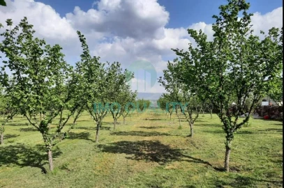 Quinta T6 para Venda em Redondelo