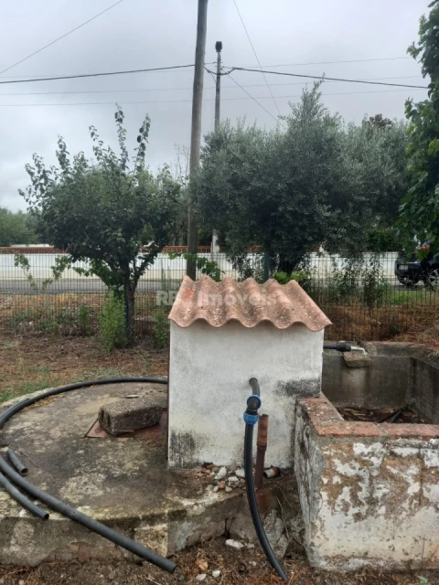 Terreno para Venda em Santa Margarida da Coutada