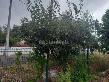 Terreno para Venda em Santa Margarida da Coutada