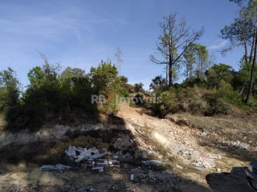 Terreno Agricola ou Rústico para Venda em Vila Nova da Barquinha