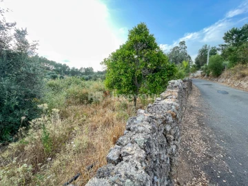 Moradia T3 para Venda em Envendos