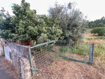 Moradia T3 para Venda em Envendos