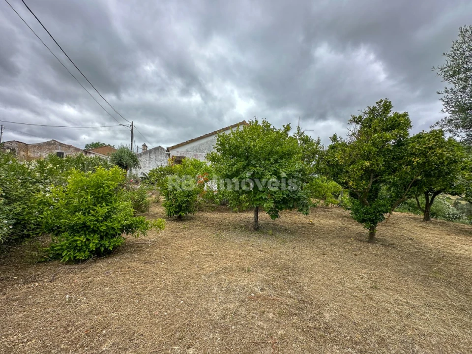 Moradia T3 para Venda em Madalena e Beselga Foto 21