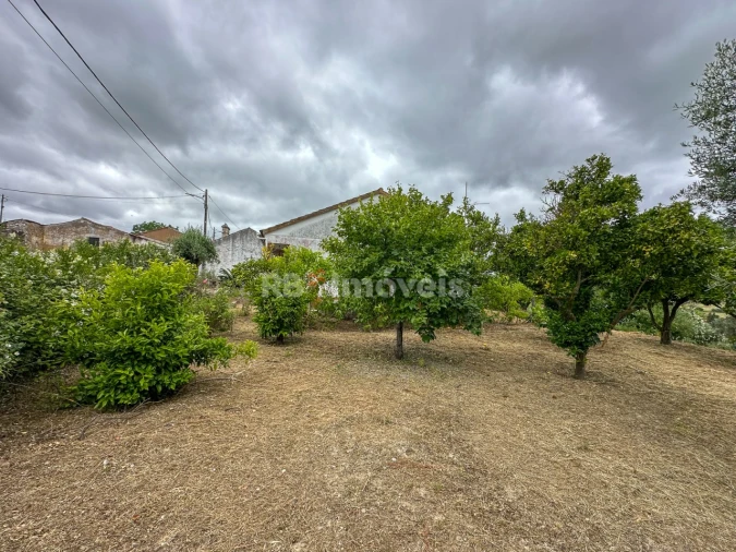 Moradia T3 para Venda em Madalena e Beselga Foto 21