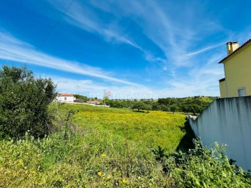 Terreno para Venda em Torres Novas (São Pedro), Lapas e Ribeira Branca
