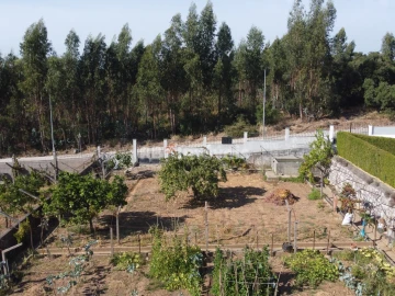 Terreno para Venda em Nossa Sra de Fatima