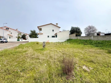 Terreno para Venda em Chamusca e Pinheiro Grande